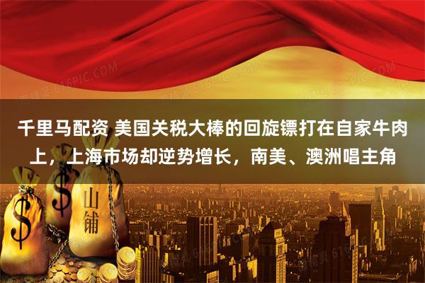 千里马配资 美国关税大棒的回旋镖打在自家牛肉上，上海市场却逆势增长，南美、澳洲唱主角