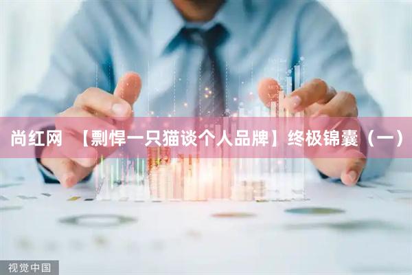 尚红网  【剽悍一只猫谈个人品牌】终极锦囊（一）