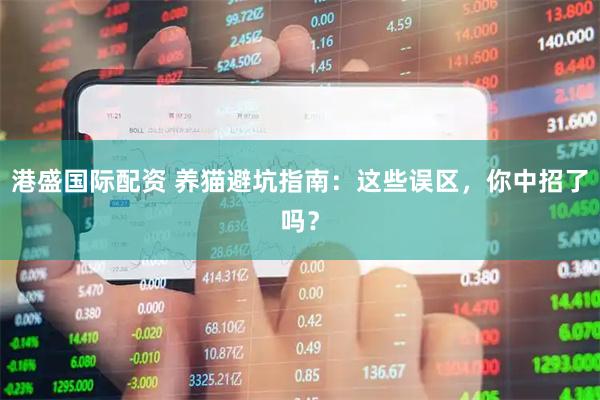 港盛国际配资 养猫避坑指南：这些误区，你中招了吗？