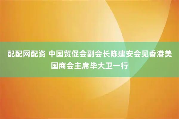 配配网配资 中国贸促会副会长陈建安会见香港美国商会主席毕大卫一行