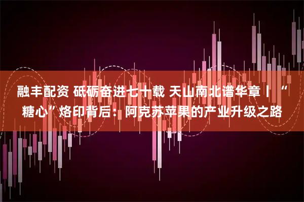 融丰配资 砥砺奋进七十载 天山南北谱华章丨 “糖心”烙印背后：阿克苏苹果的产业升级之路